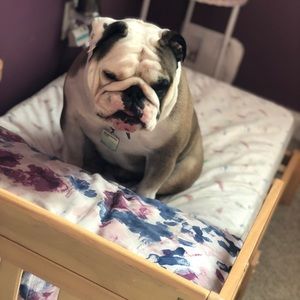 Meet your Posher, Andrea